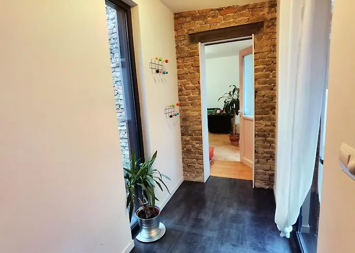 Maison De Avec Terrasse Et Jardin * Reims